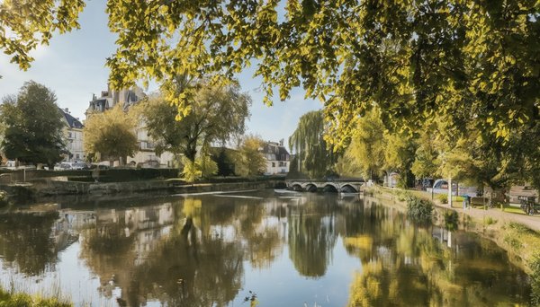 Que faire à la roche-sur-yon pendant un séjour en camping ?